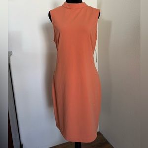 Sharagano New York Sheath Dress